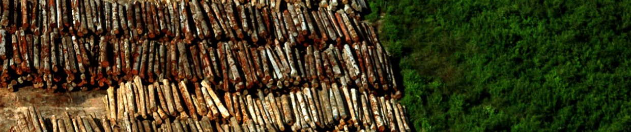 Agência Amazônia Real