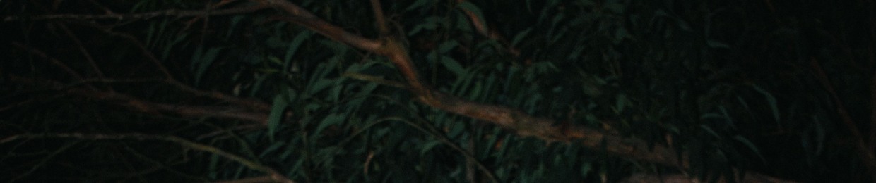 Ali Bilal