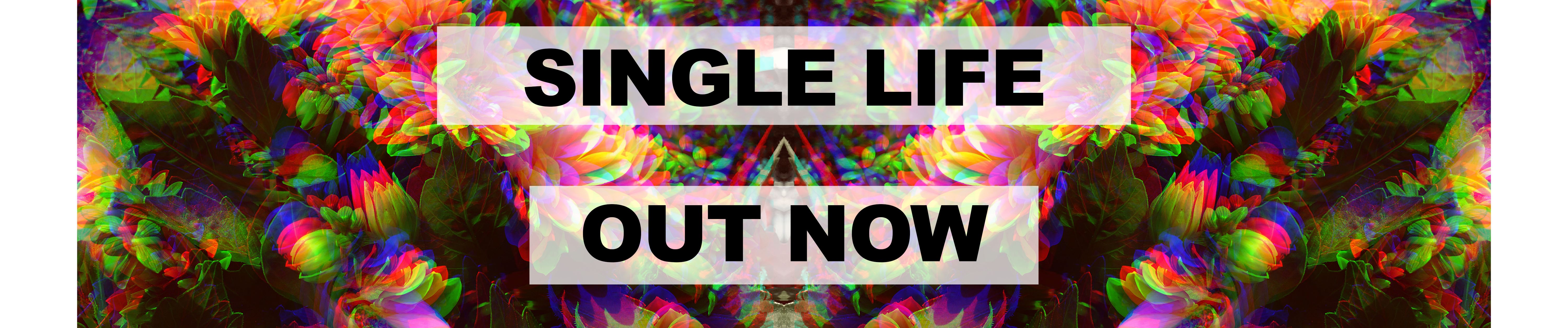 Single Image Facebook Single Life Facebook Covers