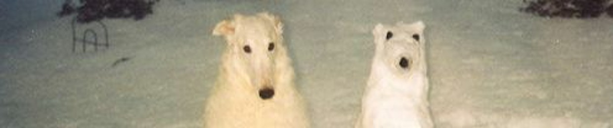 DJ WUF