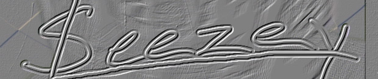 $leezey