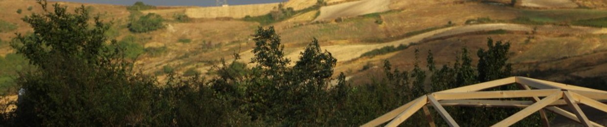 Luca Le Tanz Circuit