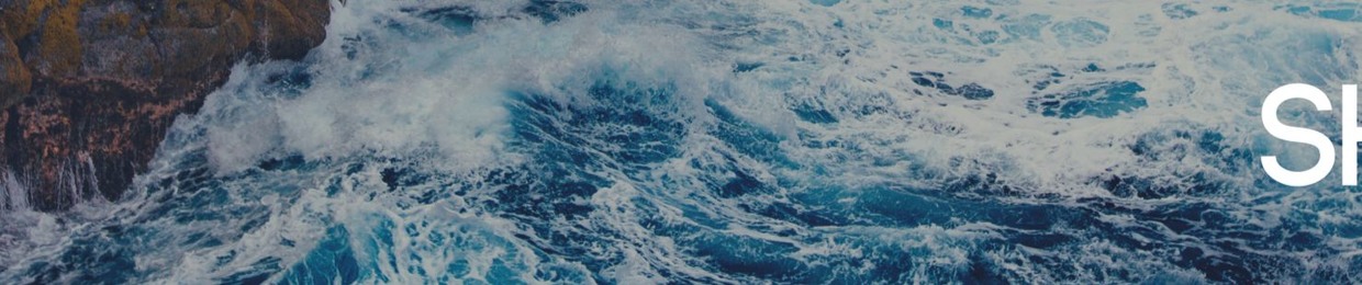 The Shining Life - Motivation, Mindset, Fitness