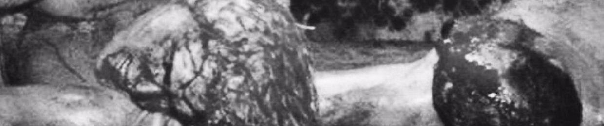 The Bad Seed Podcast