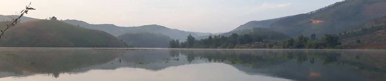 Vân Anh Viễn Tiến