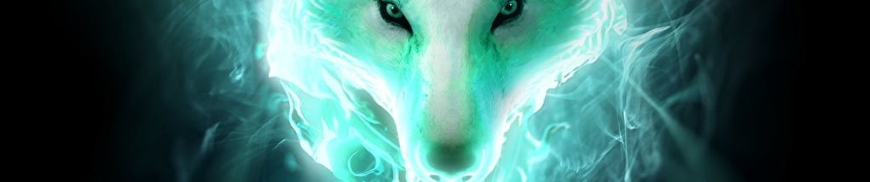 Eclipse Fox14