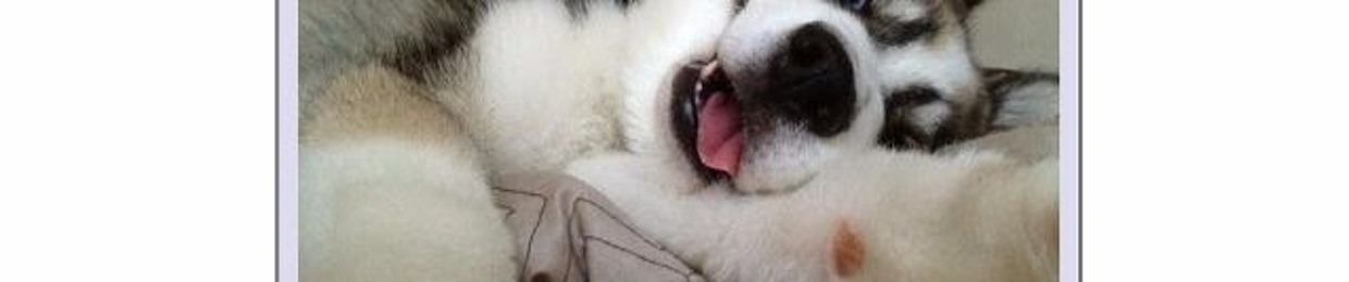 mad doggy in the house!