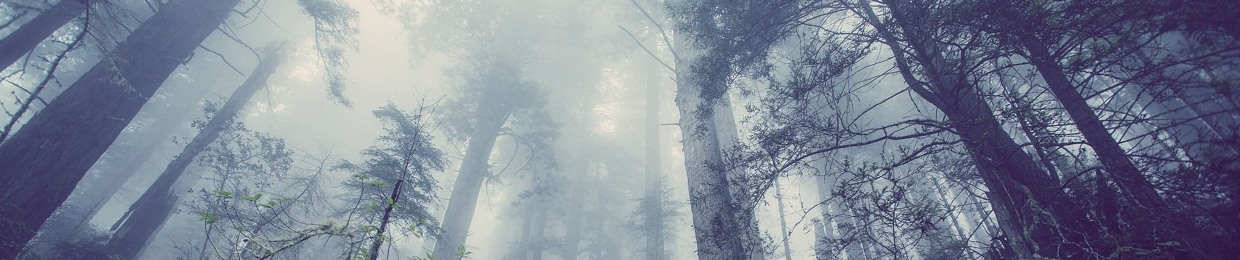 Relaxing Music by Itty Bitty Blue Dot