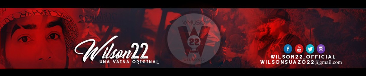 Wilson 22 Official