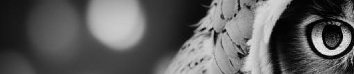 hibou