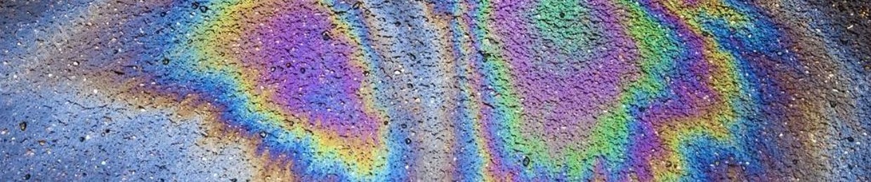 Анна Степаницкая