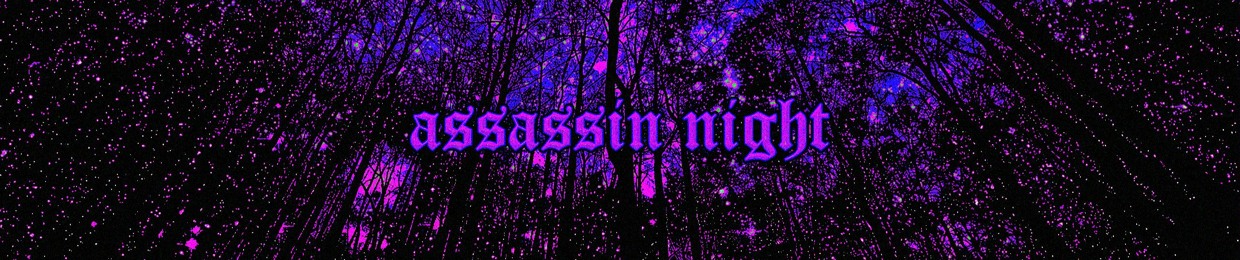 Assassin Night