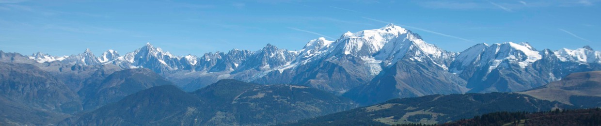 COUCOU DE FRANCE - Pays du Mont Blanc