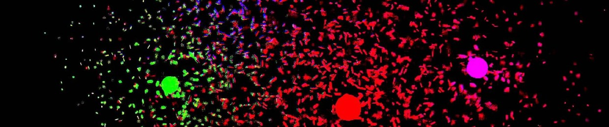 Granule