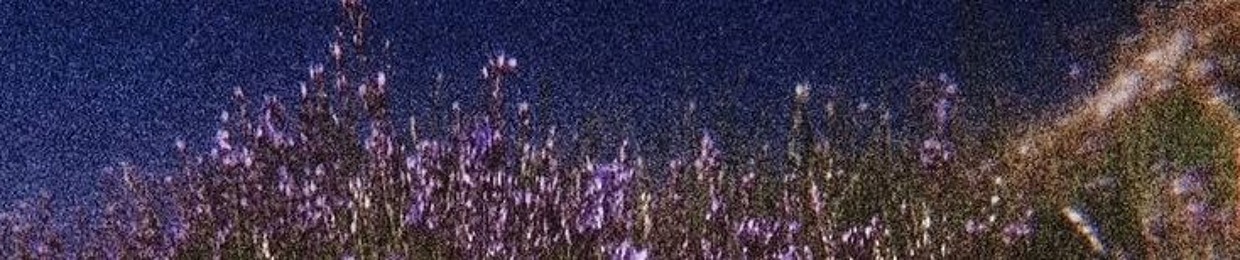 Big Bongo Set the Room on Fire