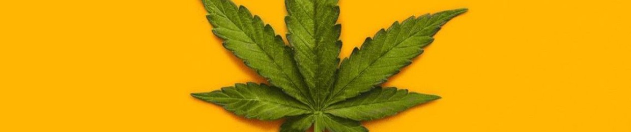 Alex Guillermo Benedict C