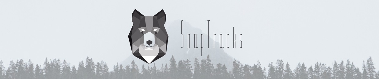 SnapTracks