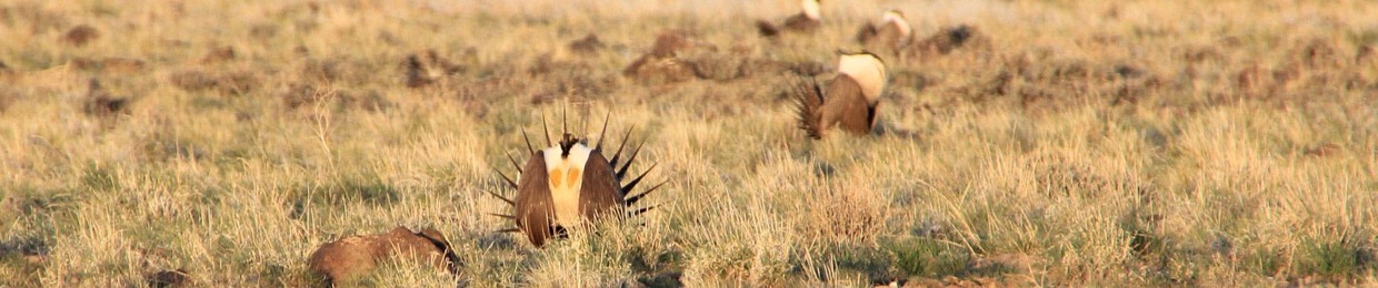 Oregon Natural Desert Association