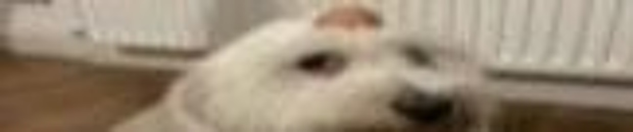 深淵 beebo