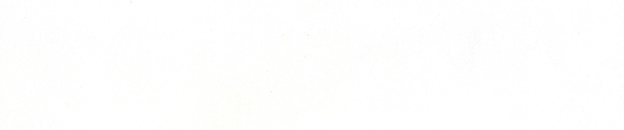 NIXTEON