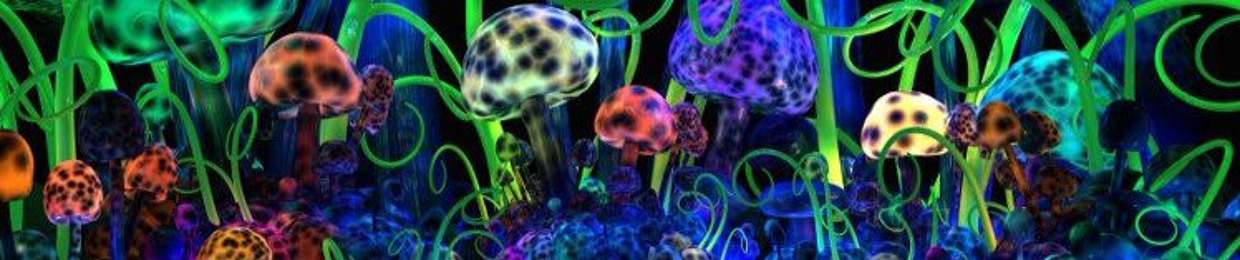 NguyễN ĐứC TiếN