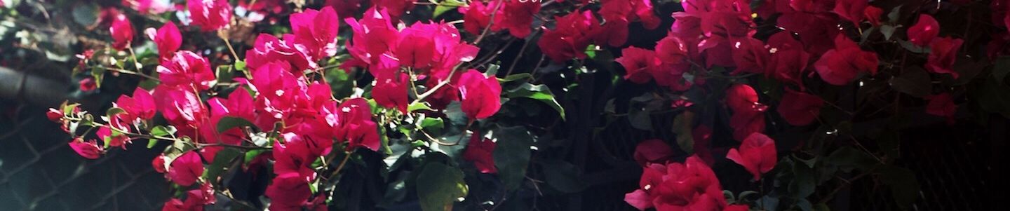 SoundCloud banner for @applauded