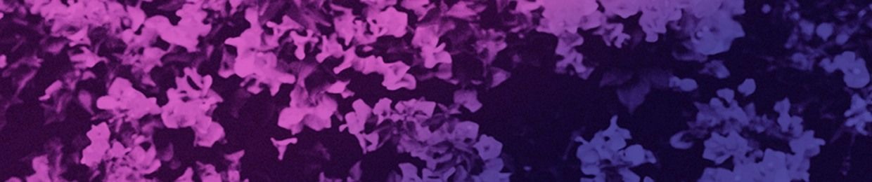 LUCA LUSH 2
