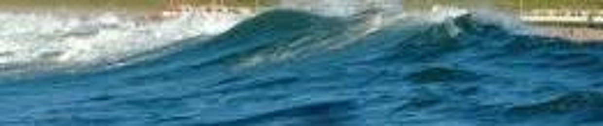 Pfiesteria Arbeidsvitaminen