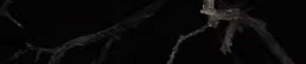su