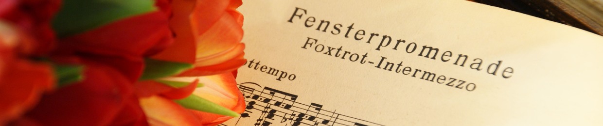 Fensterpromenade