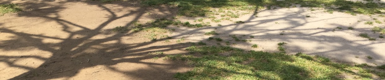 鈴木萌香 S Stream