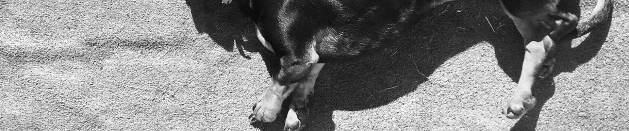 подсобакой