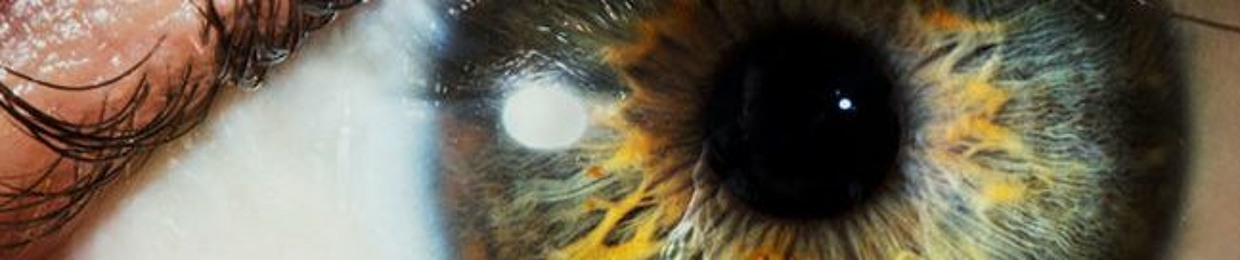 Mohammad Reza Rowhani