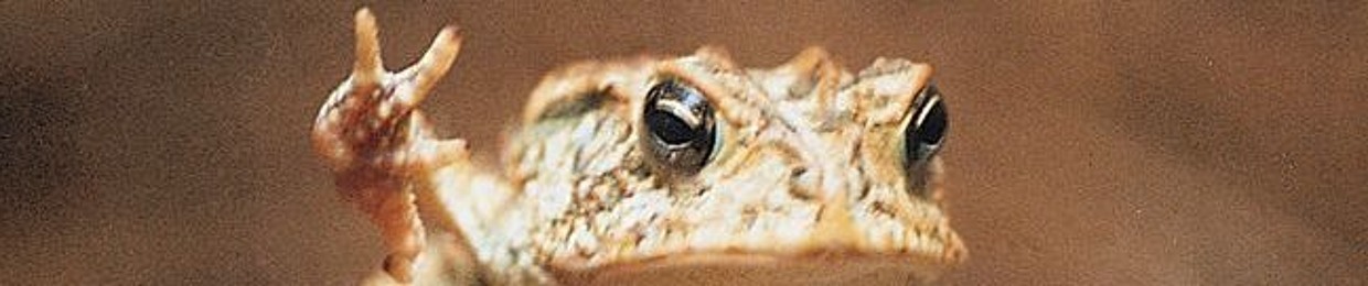 Soviet Toad