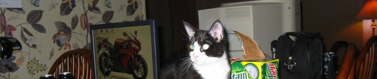 XxCatgore
