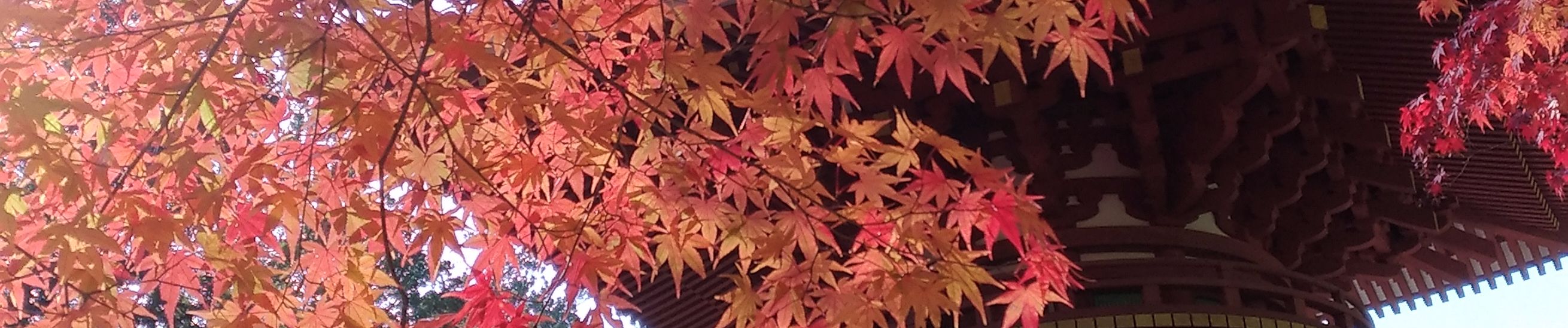 和楽器バンド Wagakki Band 吉原ラメント Yoshiwara Lament By Setyo Angga 和楽器バンド Wagakki Band 吉原ラメント Yoshiwara Lament By Setyo Angga