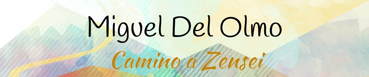 Miguel Del Olmo - Camino a Zensei