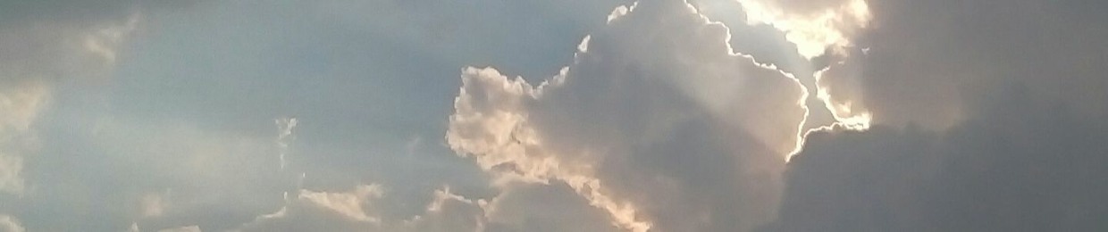 هانى محمد علوان