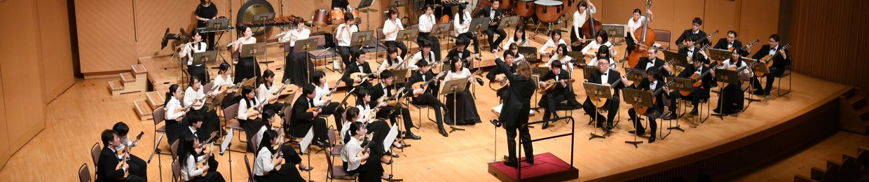C&V Orchesta Mandolino