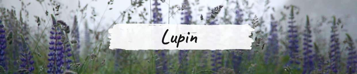 Lupin