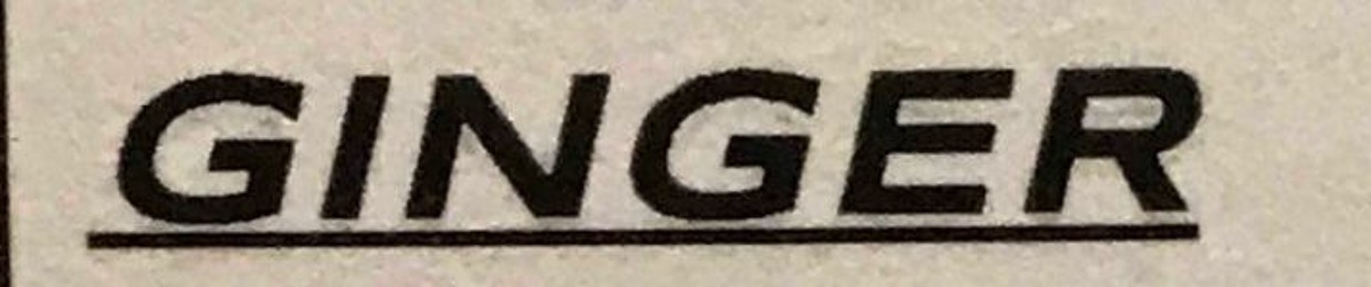 G1ngerhere