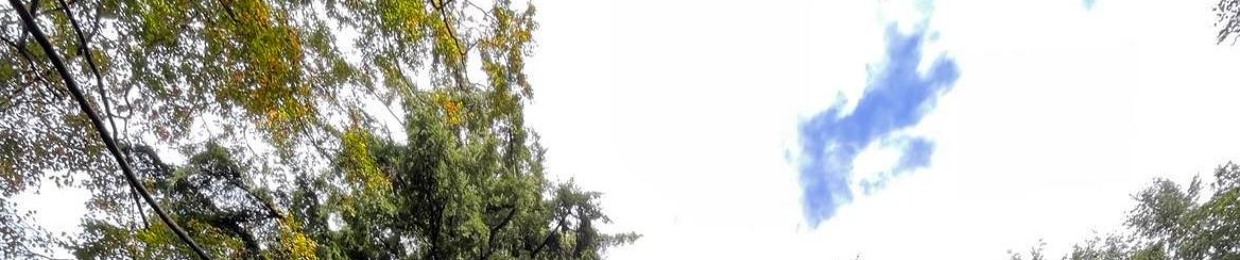 Treeger