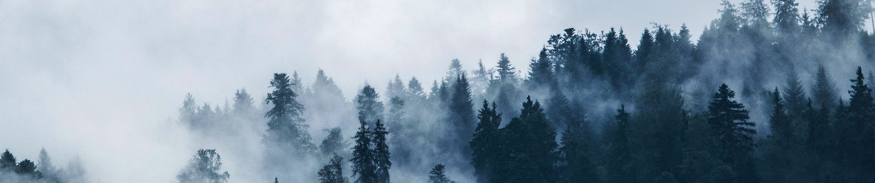 Provisionxl BG