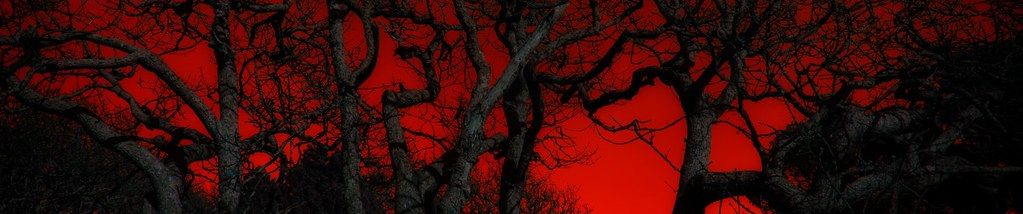 SoundCloud banner for @sacrificing