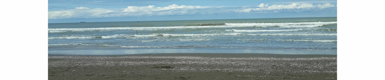 ساجده