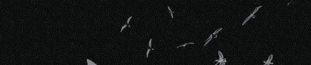 H.B.2102