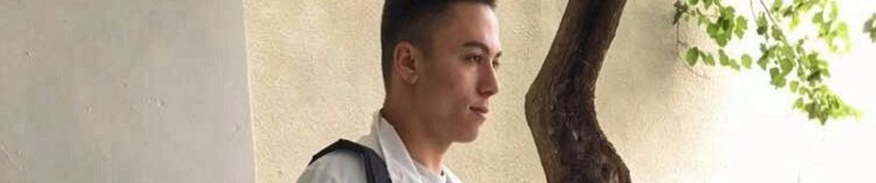 Denis LEmn csgo
