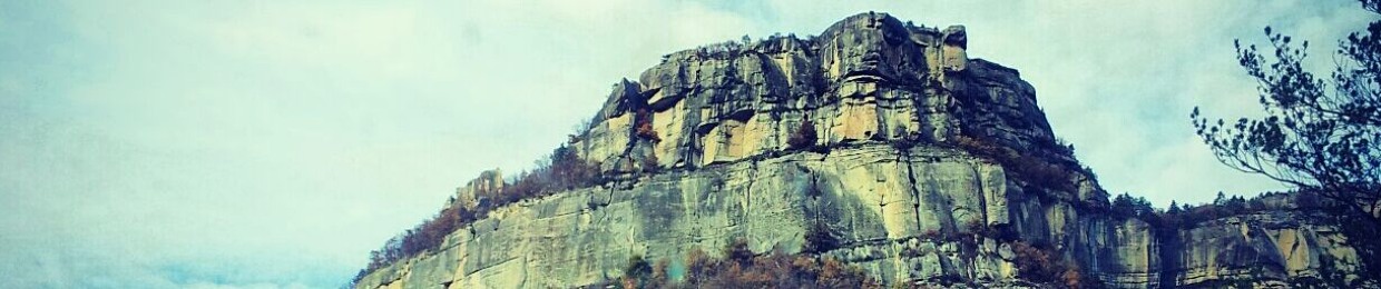 viemavie