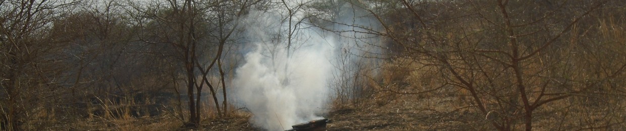 Abubakr Mohamad Adam