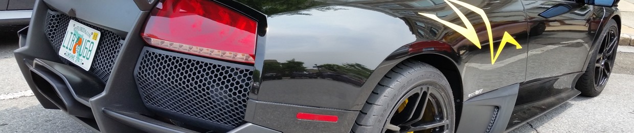 Ladiesman Turbo SV